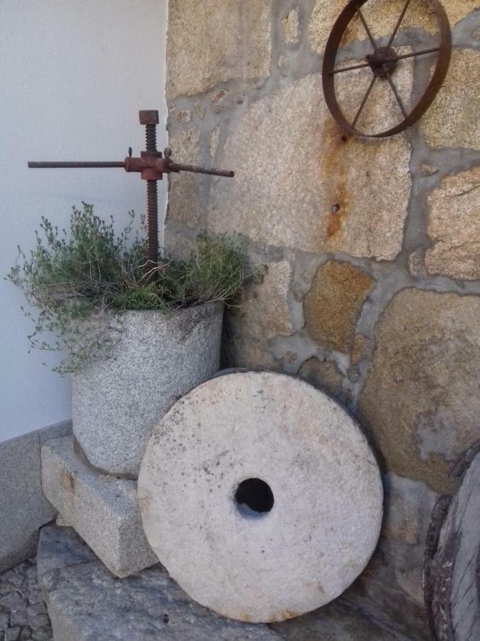 Rural House Farm stay *